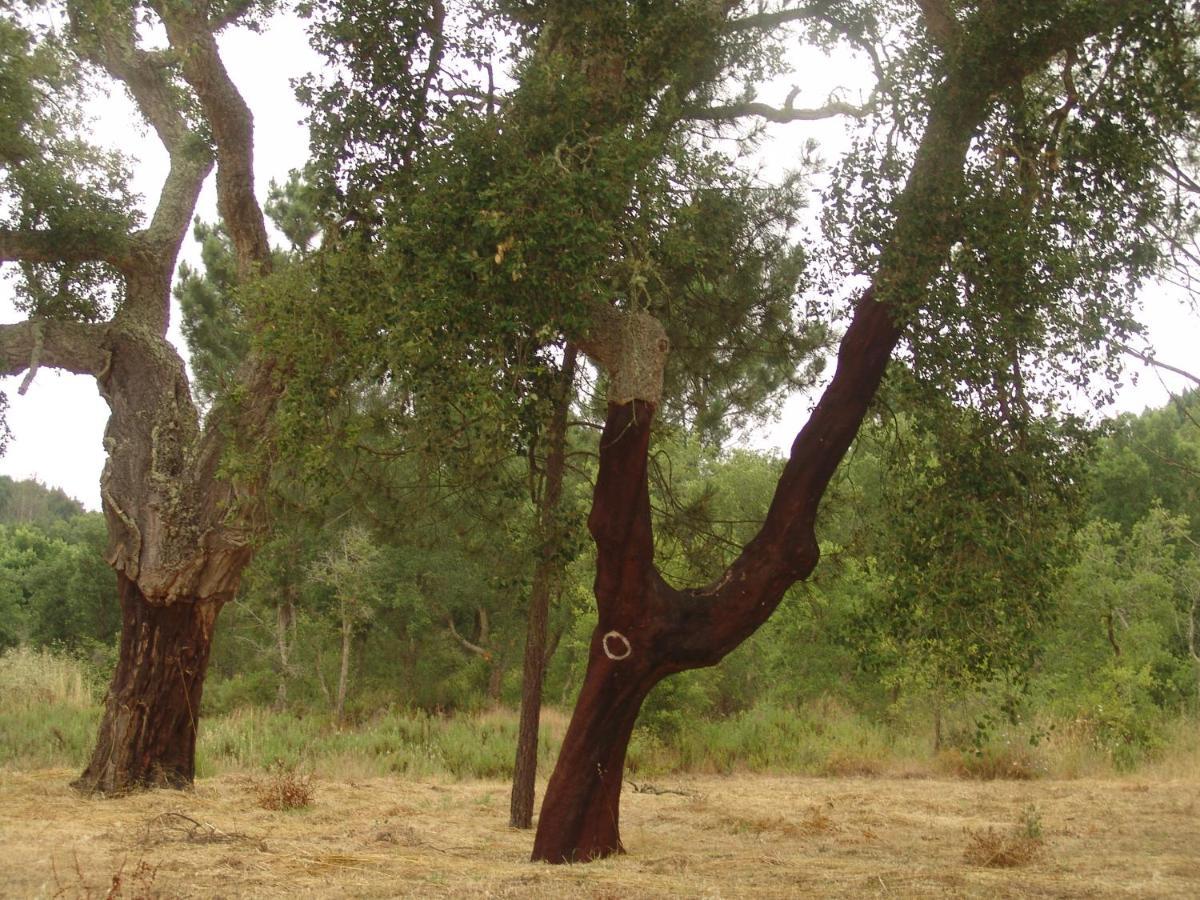 Herdade Rodrigo Afonso เซาเตโอโตนิโอ ภายนอก รูปภาพ